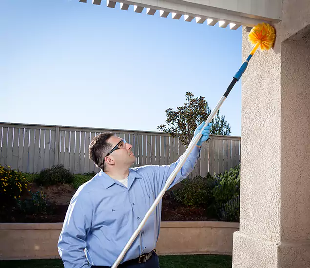 Your Trusted Wasp Removal Company in Livingston, NJ
