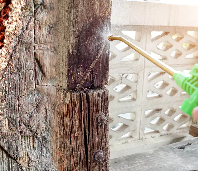 About Wood Termite Treatment Services in Livingston, NJ