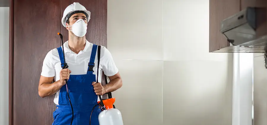 Per Room Bed Bug Cost in Livingston