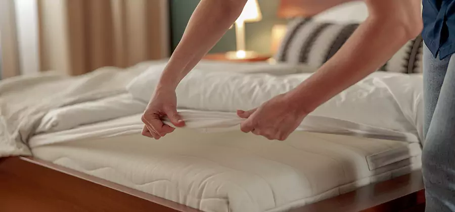 Bed Bug Extermination Services in Livingston