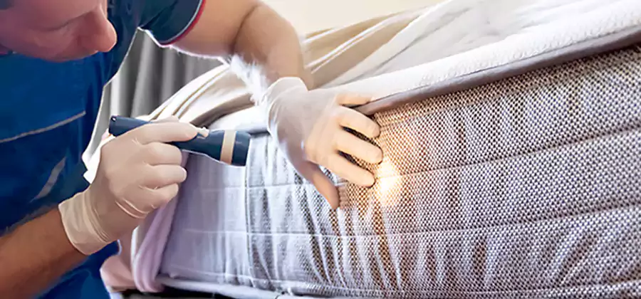 Residential Bed Bug Treatment Cost in Livingston