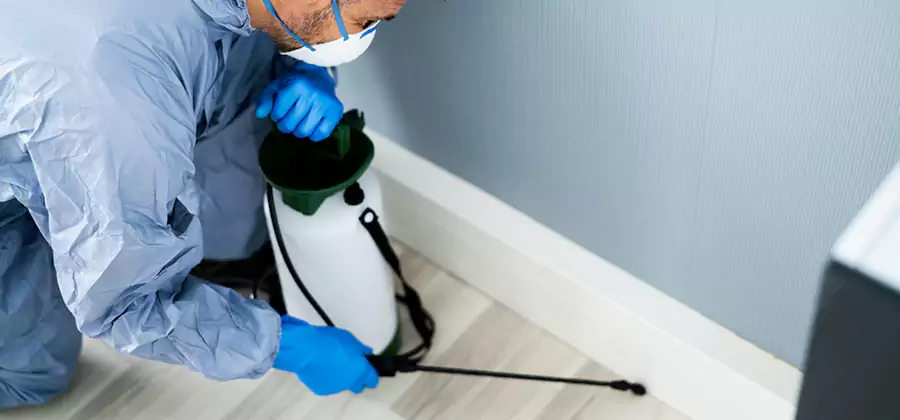 Fumigate Apartment Roaches in Livingston