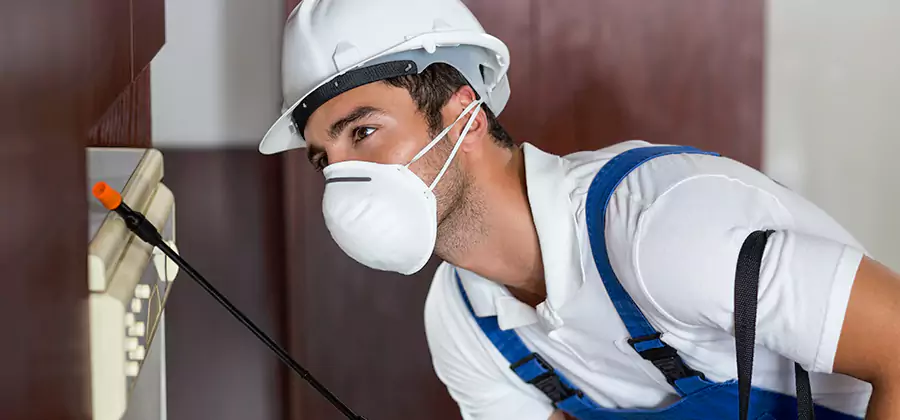 Injection Foam Treatment for Drywood Termites in Livingston