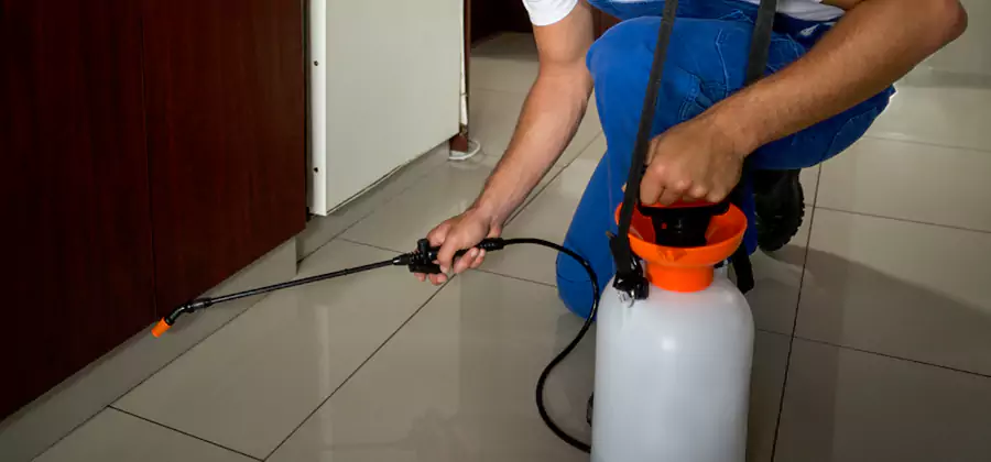 Indoor Mosquito Treatment in Livingston