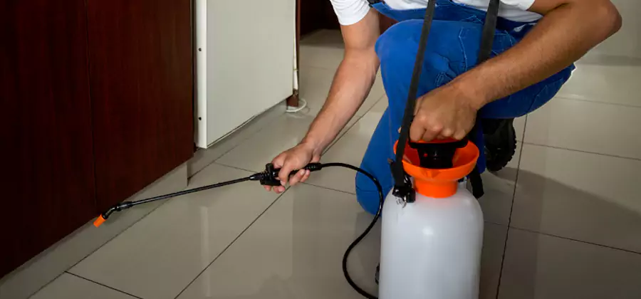 Indoor Insect Killer Solutions in Livingston