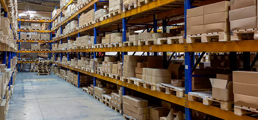 Warehouse Pest Control in Livingston