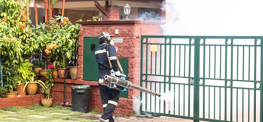 Backyard Mosquito Foggers Service in Livingston