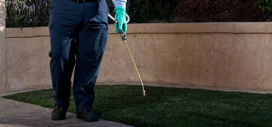 Soil Treatment for New Construction Termites in Livingston