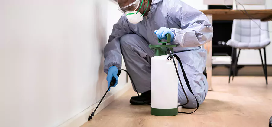 No Tent Termite Extermination With Electric Tool in Livingston