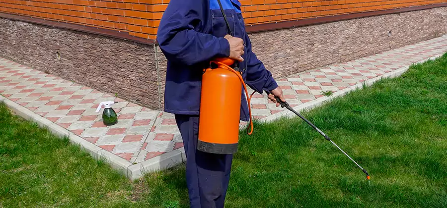 Non Toxic Termite Treatment in Livingston