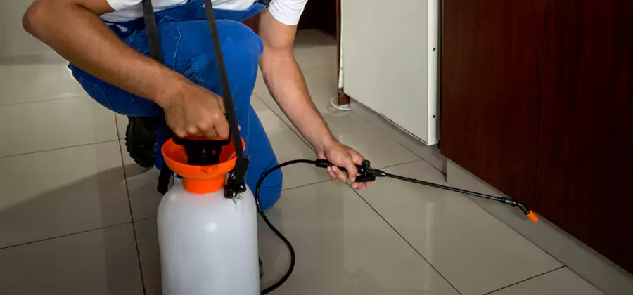 One Time Termite Control in Livingston