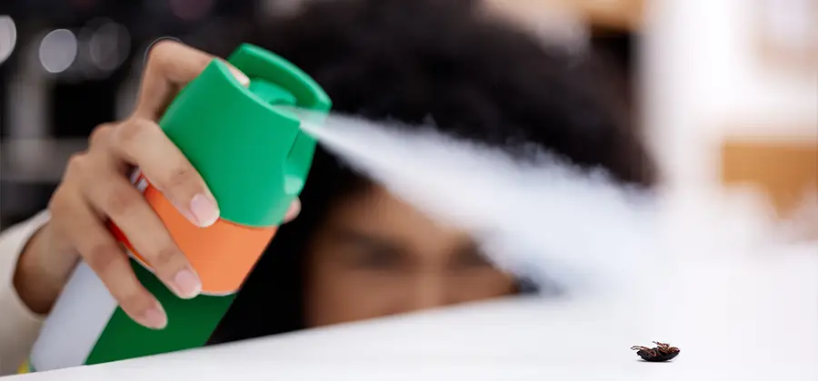 Child Safe Bed Bug Treatment in Livingston