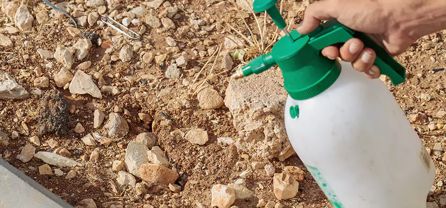 Heat Treatment Termite Cost in Livingston