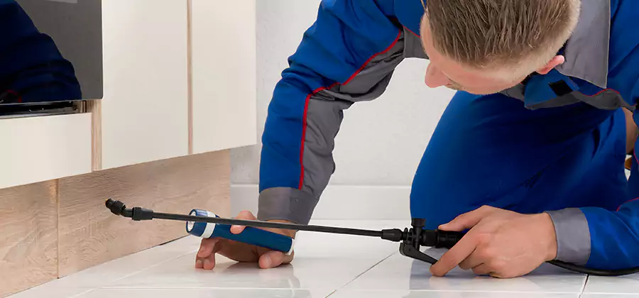 Moisture Treatment For Termite Control Service in Livingston