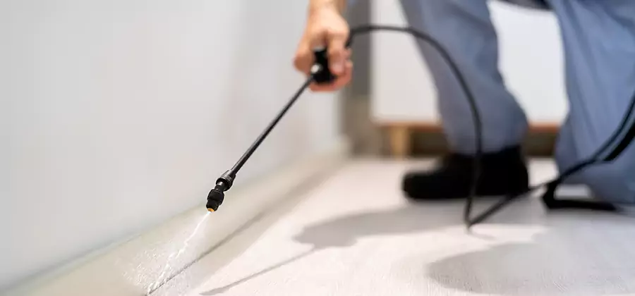 Direct Termite Injection Treatment in Livingston