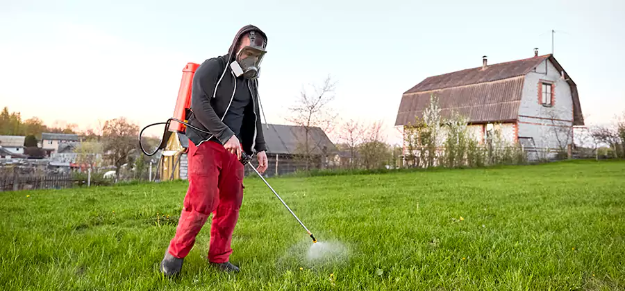 Flea and Tick Pest Control in Livingston