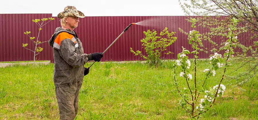 Flea and Tick Spray for Yard in Livingston