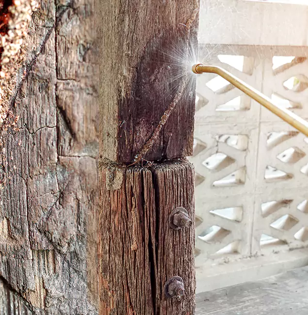 Why Choose Livingston Pest Control Pro for Attic Termite Treatment in Livingston, NJ?