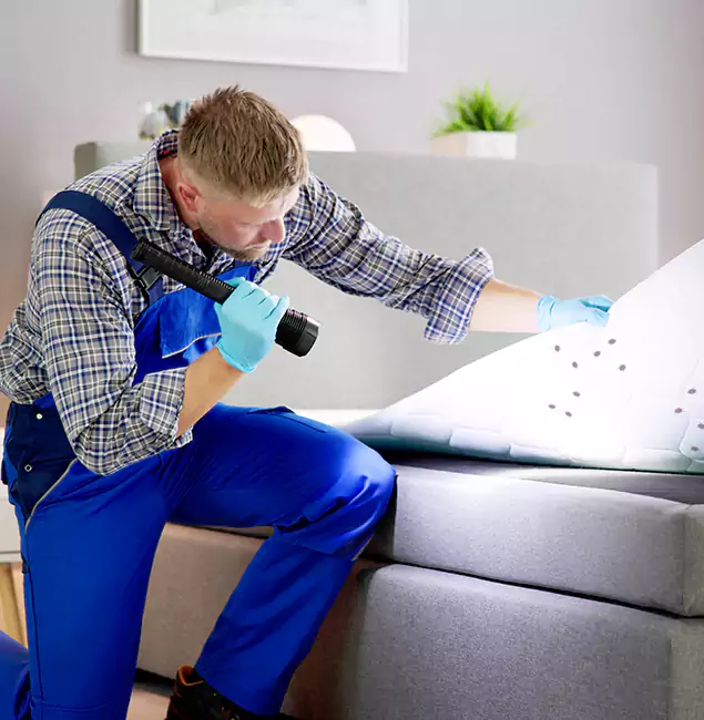 Why Choose Livingston Pest Control Pro for Bed Bug Exterminator Cost in Livingston, NJ?