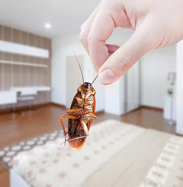 Why Livingston Pest Control Pro Stand Out for Bed Bug Fumigation in Livingston, NJ?