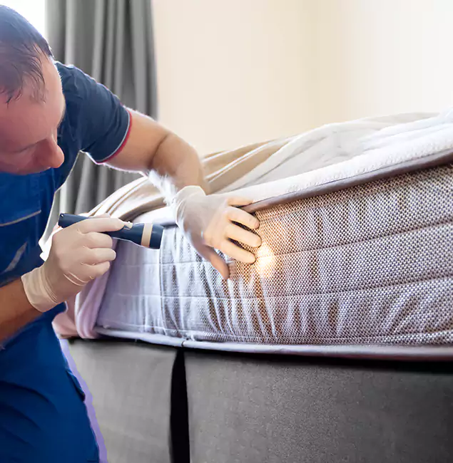 Why Choose Livingston Pest Control Pro for Bed Bug Services in Livingston, NJ?