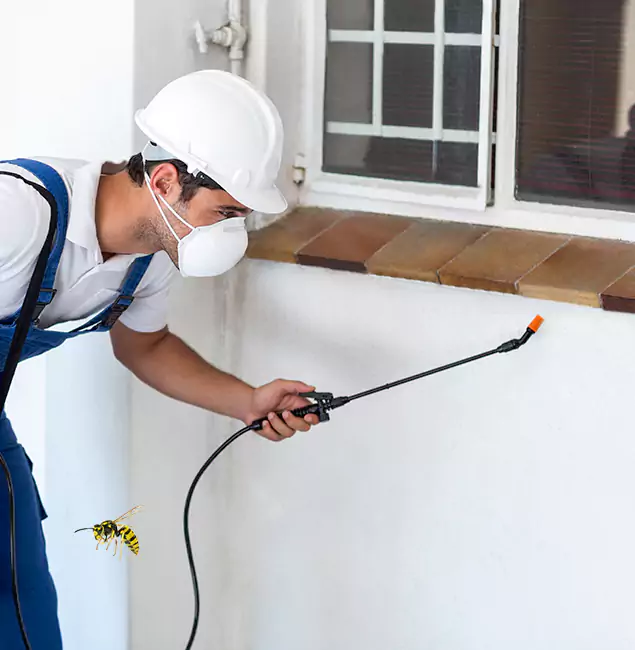 Why Livingston Property Owners Choose Livingston Pest Control Pro for Bee Nest Removal?