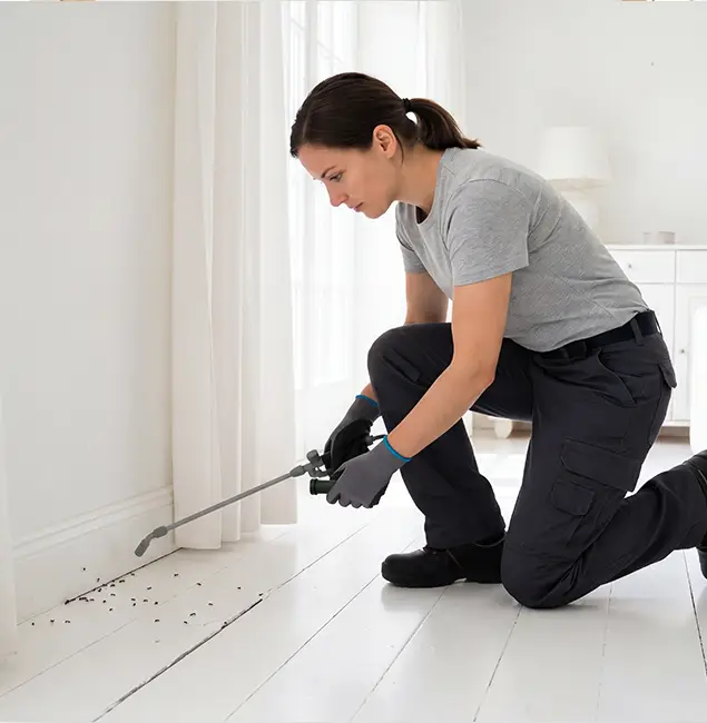 Why Livingston, NJ Property Owners Trust Livingston Pest Control Pro for Fire Ant Control?