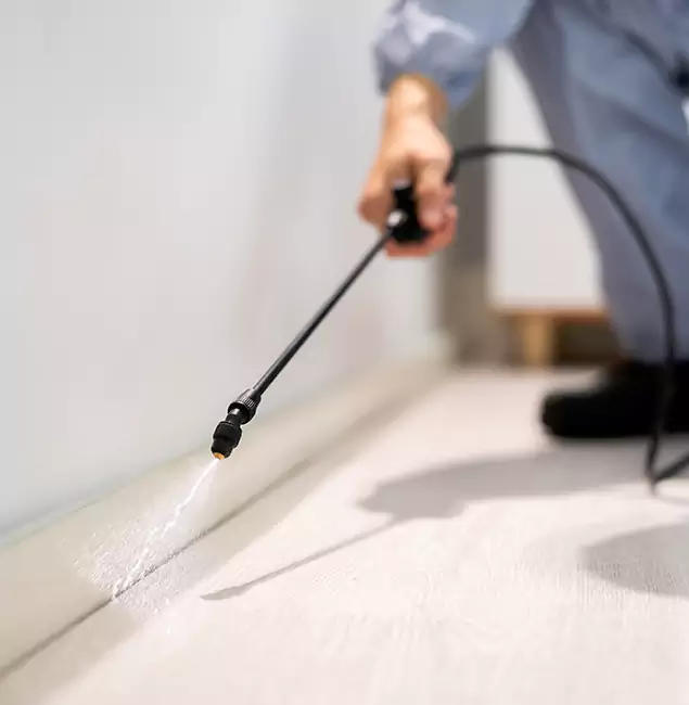 Why Choose Livingston Pest Control Pro for Termite Treatment in Livingston, NJ?