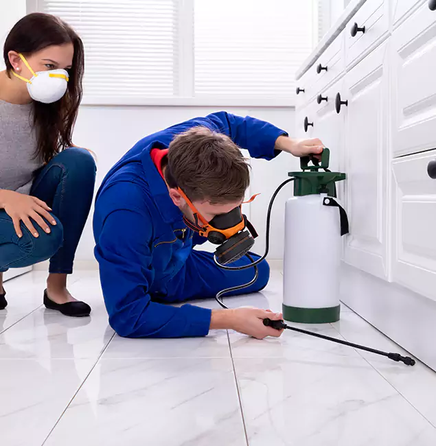 Why Livingston, NJ Homeowners Trust Livingston Pest Control Pro for Roach Control?