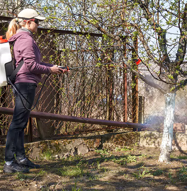 Why Livingston Homeowners Choose Livingston Pest Control Pro for Mosquito Abatement?