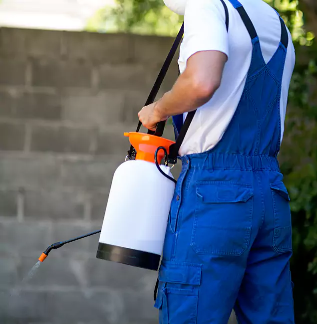 Why Livingston Homeowners Rely on Livingston Pest Control Pro for Mosquito Control?