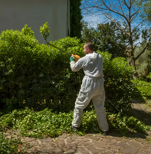 Why Livingston Pest Control Pro Leads Mosquito Control in Livingston, NJ?