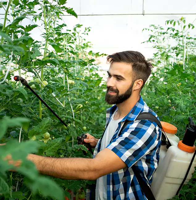 Why Livingston Homeowners Choose Livingston Pest Control Pro for Mosquito Spraying?