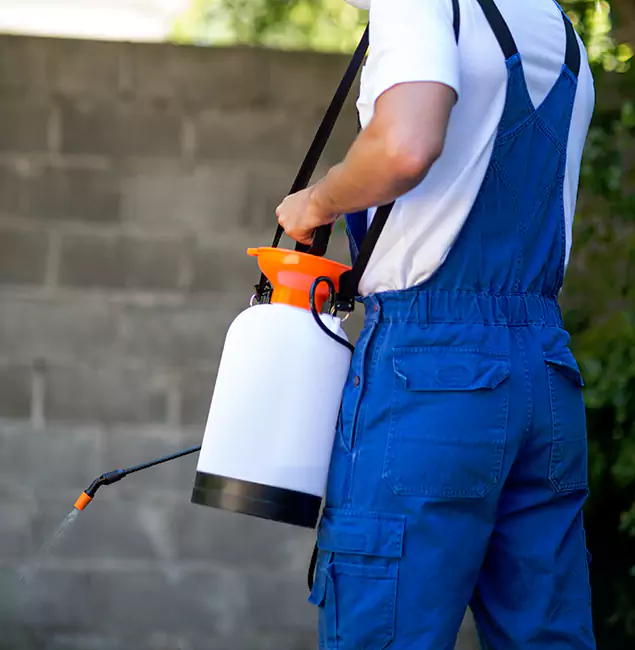 Why Livingston Pest Control Pro Delivers the Best Mosquito Control in Livingston, NJ?