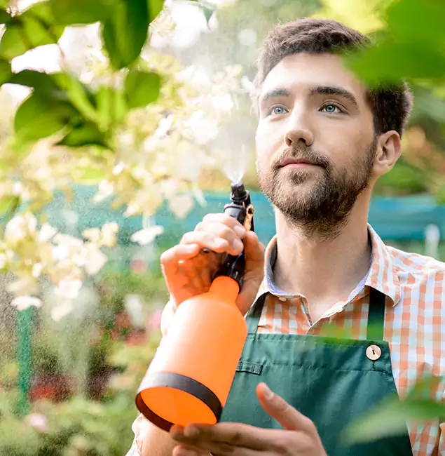 Why Livingston Homeowners Call Livingston Pest Control Pro for Mosquitoes in House?