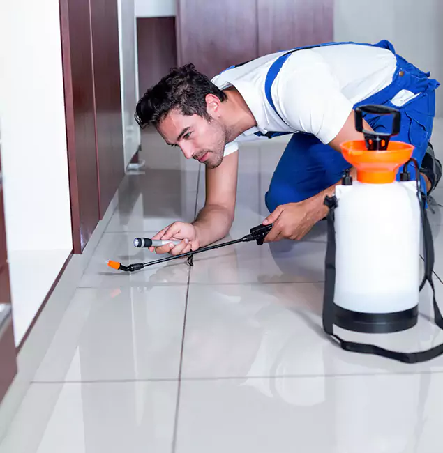 Why Livingston Pest Control Pro Is the Proven Choice in Livingston, NJ?