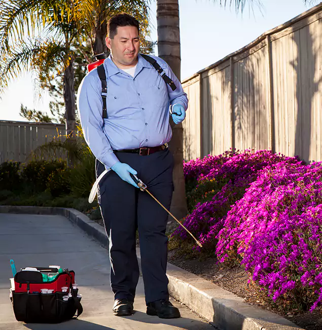 Why Choose Livingston Pest Control Pro in Livingston, NJ?