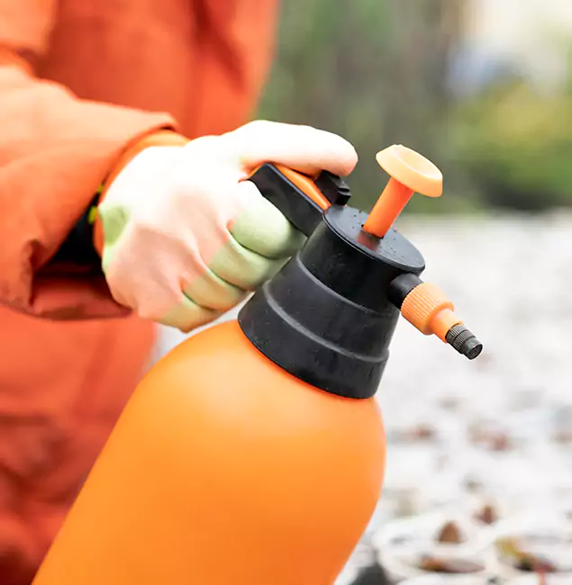 Why Choose Livingston Pest Control Pro for Orange Termite Treatment in Livingston, NJ?