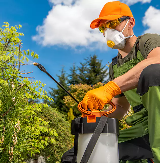 Why Choose Livingston Pest Control Pro for Outdoor Pest Control in Livingston, NJ?