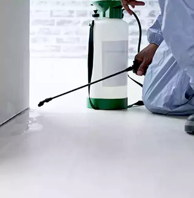 Why Choose Livingston Pest Control Pro for Rat Exterminator in Livingston, NJ?