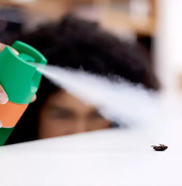 Why Livingston, NJ Homeowners Choose Livingston Pest Control Pro for Roach Pest Control?