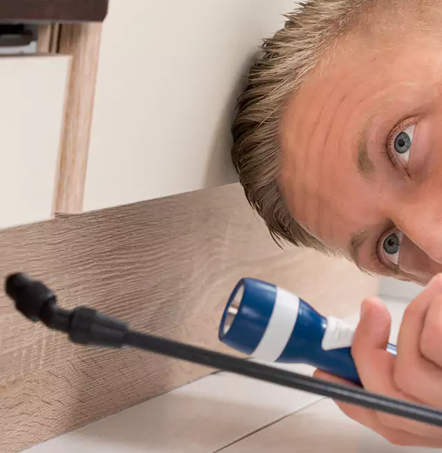 Why Choose Livingston Pest Control Pro for Rodent Exterminator in Livingston, NJ?