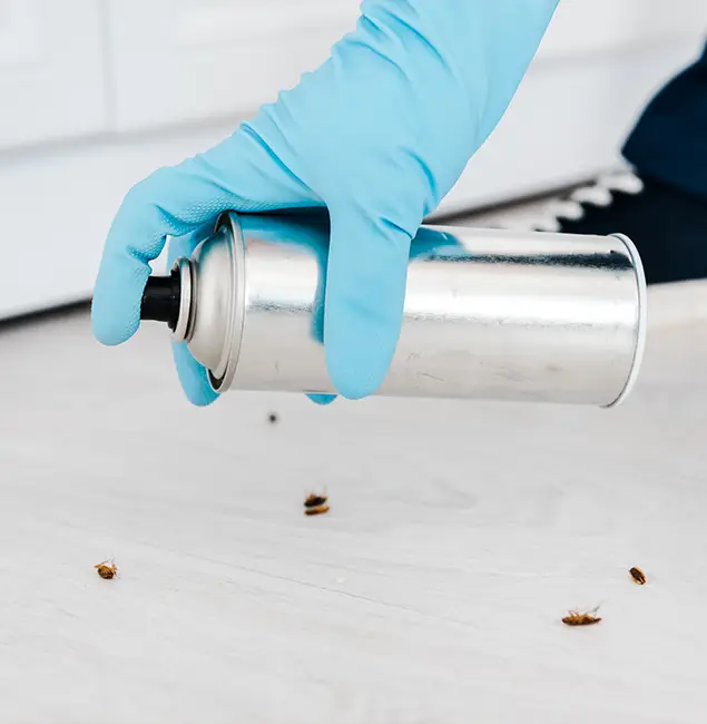 Why Choose Livingston Pest Control Pro for Safe Bed Bug Treatment in Livingston, NJ?
