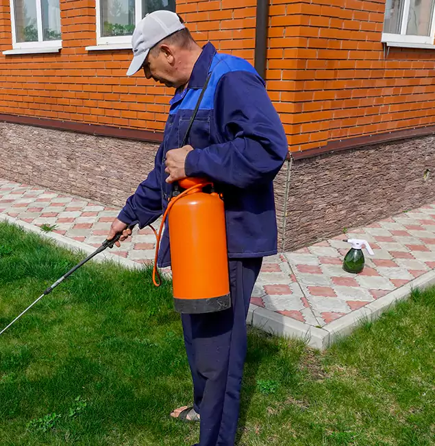 Why Choose Livingston Pest Control Pro for Soil Treatment in Livingston, NJ?