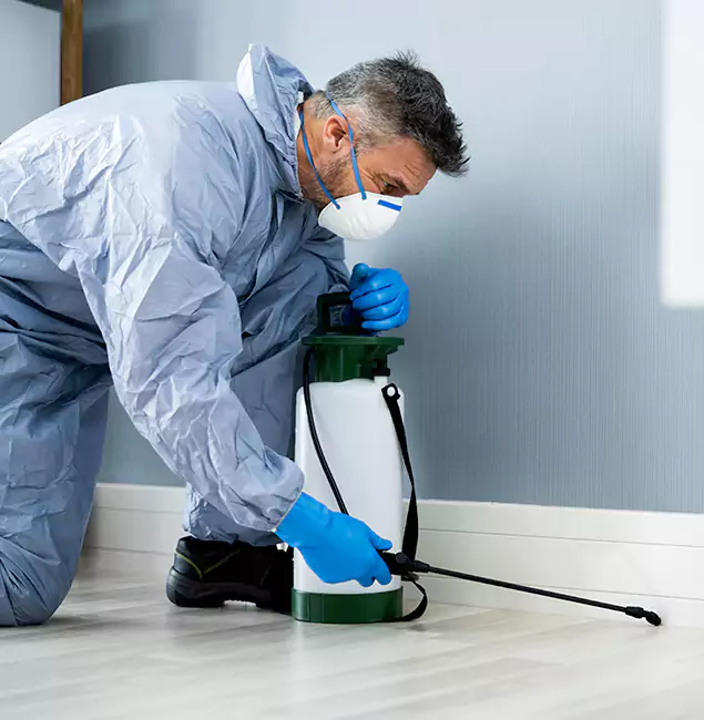 Why Choose Livingston Pest Control Pro for Subterranean Termites Treatment in Livingston, NJ?