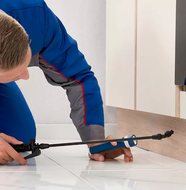 Why Livingston Residents Choose Livingston Pest Control Pro to Get Rid of Sugar Ants?