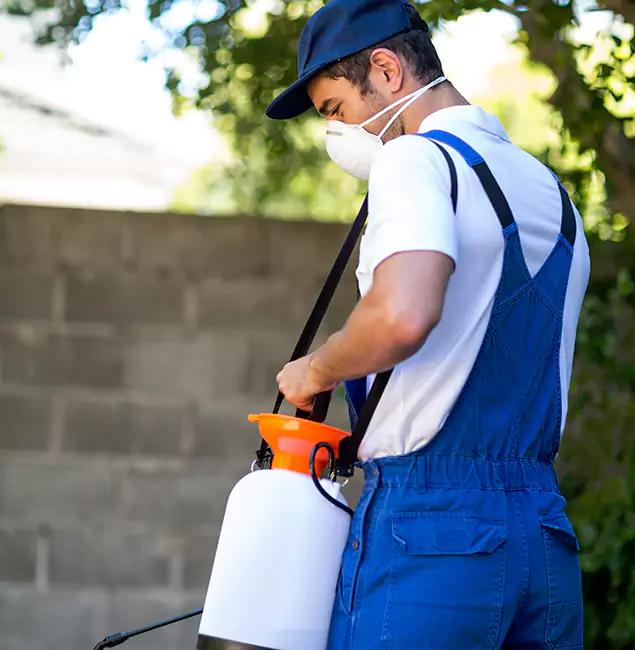 Why Livingston Pest Control Pro Is the Right Choice for Yellow Jacket Removal in Livingston, NJ?