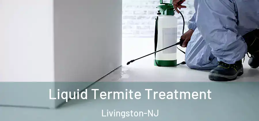 Liquid Termite Treatment Livingston-NJ