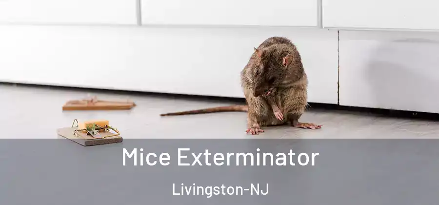 Mice Exterminator Livingston-NJ