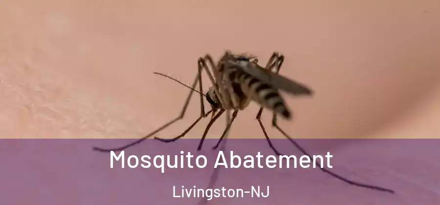 Mosquito Abatement Livingston-NJ